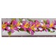 BARRETTE FLEURS PRUNIER